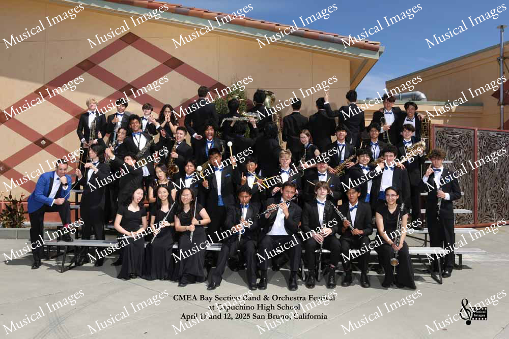 Musical Images
